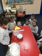 P2 materials experiment