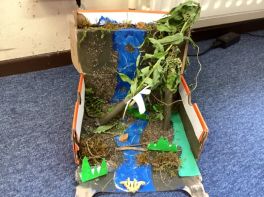 Primary 7 rainforest diorama’s 